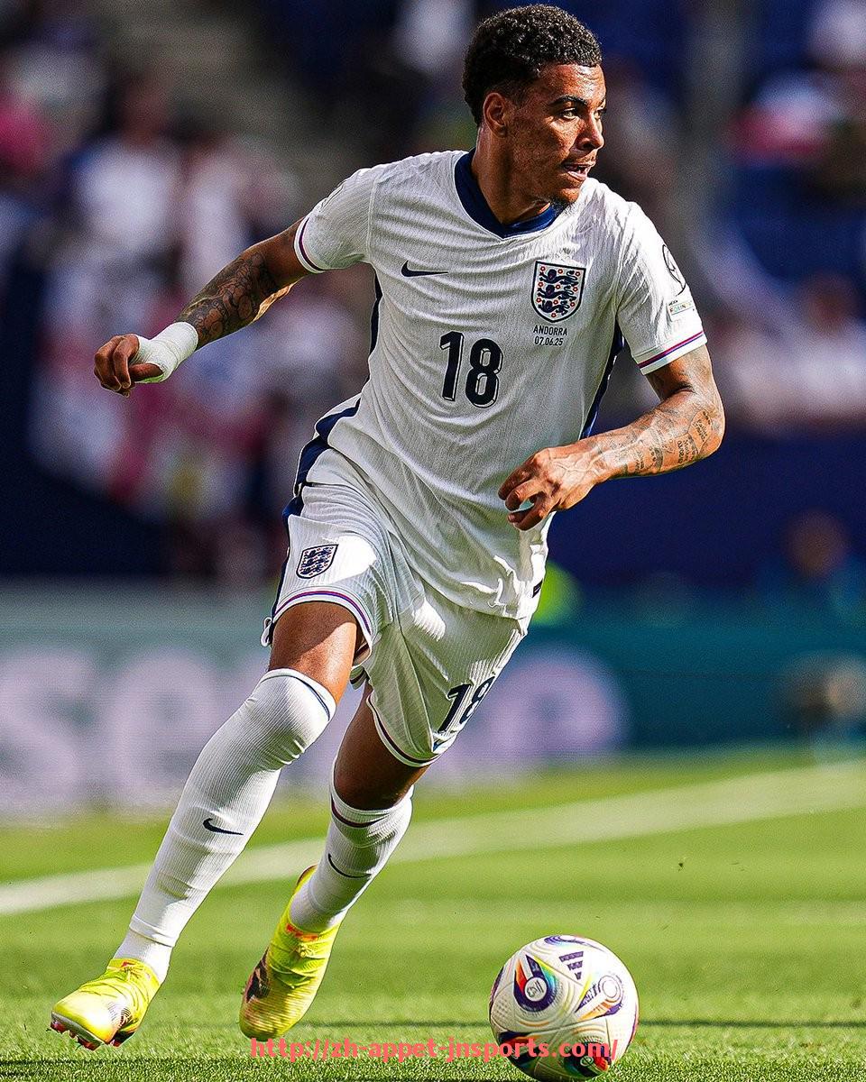 江南体育APP-世俱杯球员护具佩戴便利度比较及优化设计方案